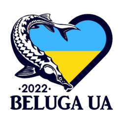 Beluga UA